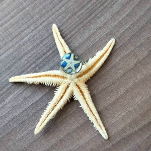 Bague réglable couleur argent avec inclusion d'une étoile de mer, de pierres semi précieuses image 6