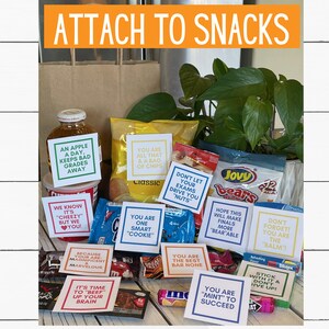 Final Exams Snack Tags Printable Food Notes for Student Finals Test Survival Kits or College Care Package Instant Download image 8
