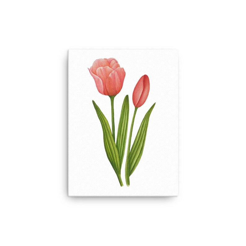 Tulip Wall Art Pink Tulip Floral Wall Art Etsy