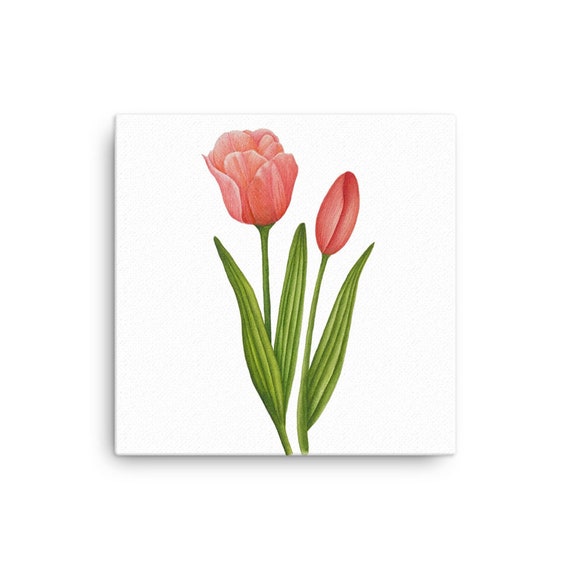 Tulip Wall Art Pink Tulip Floral Wall Art Etsy