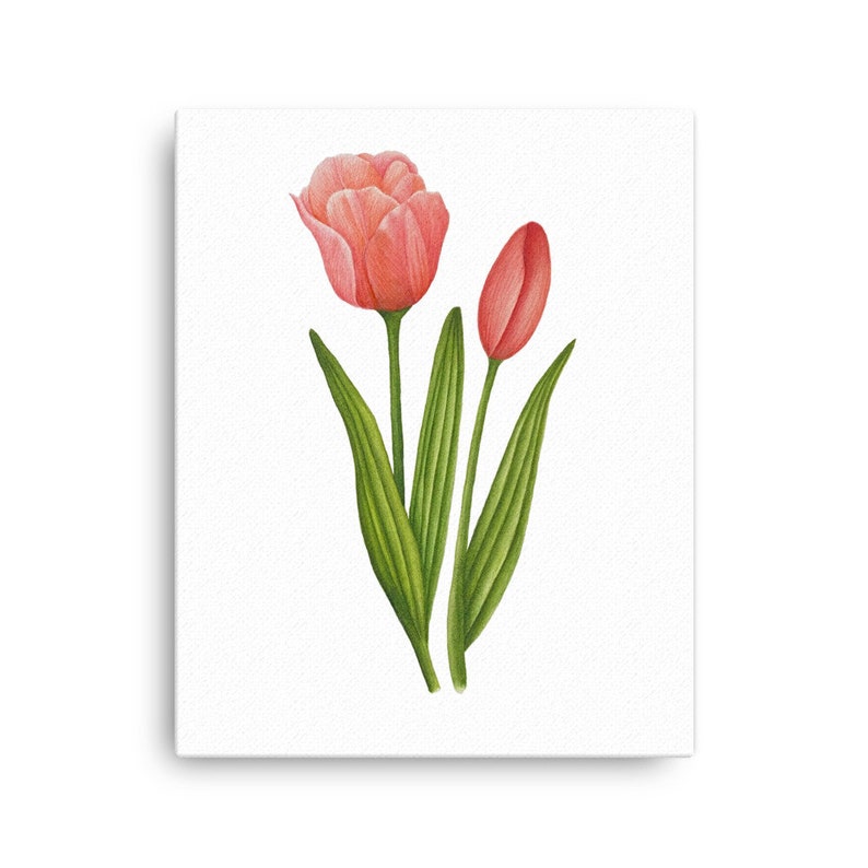 Tulip Wall Art Pink Tulip Floral Wall Art Etsy