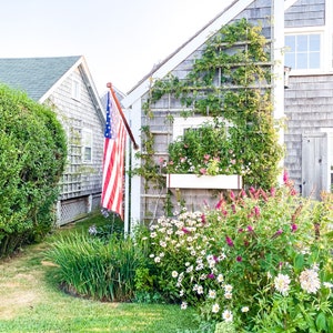 May include: A white house with gray siding and a green vine growing up the side. There is an American flag hanging on the side of the house. A flower bed with white and pink flowers is in front of the house.
