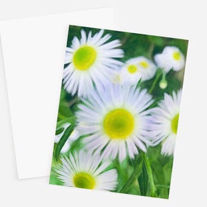 Daisy Greeting Card / Floral Cards / Floral Stationary / Custom Notecards