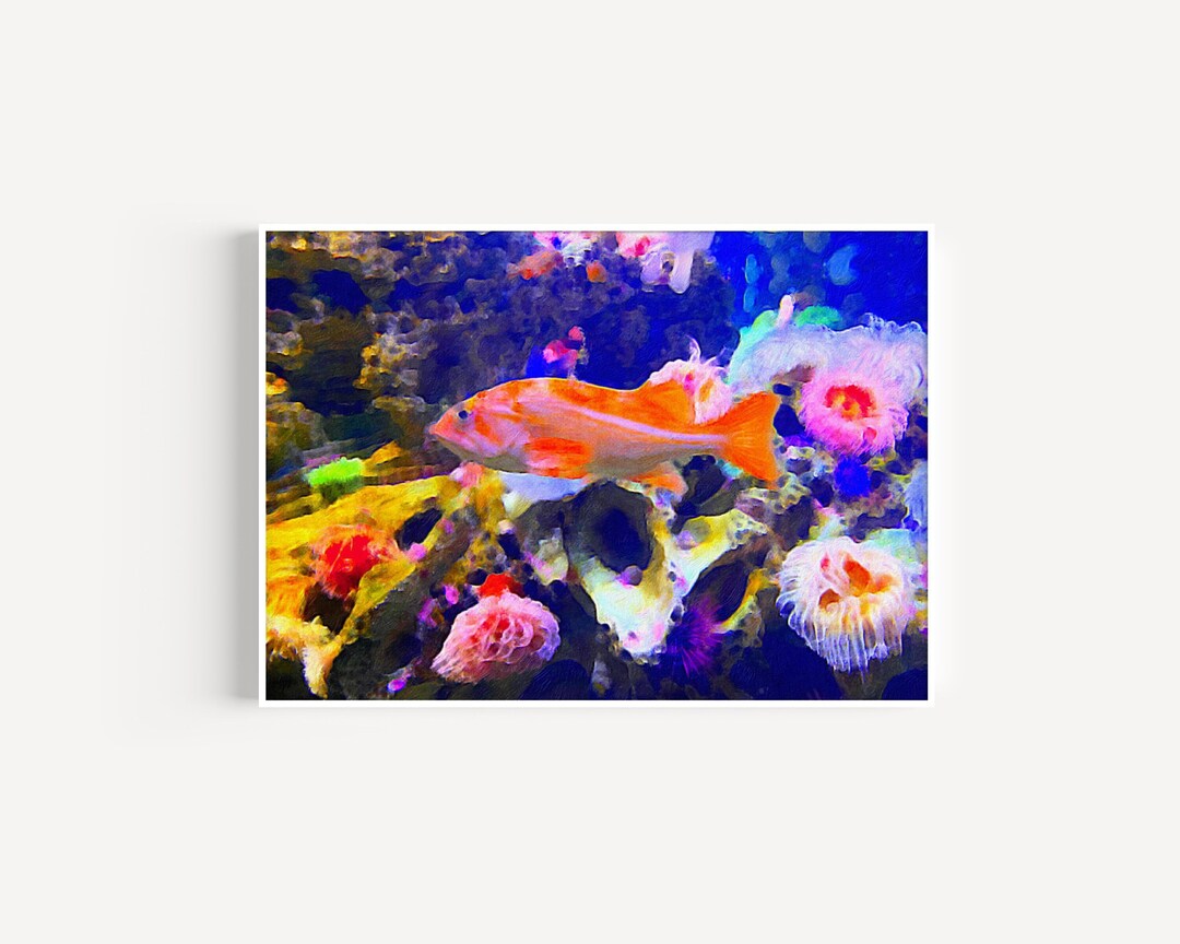 Printable Fish / Sea Life Printable / Underwater Photo / - Etsy
