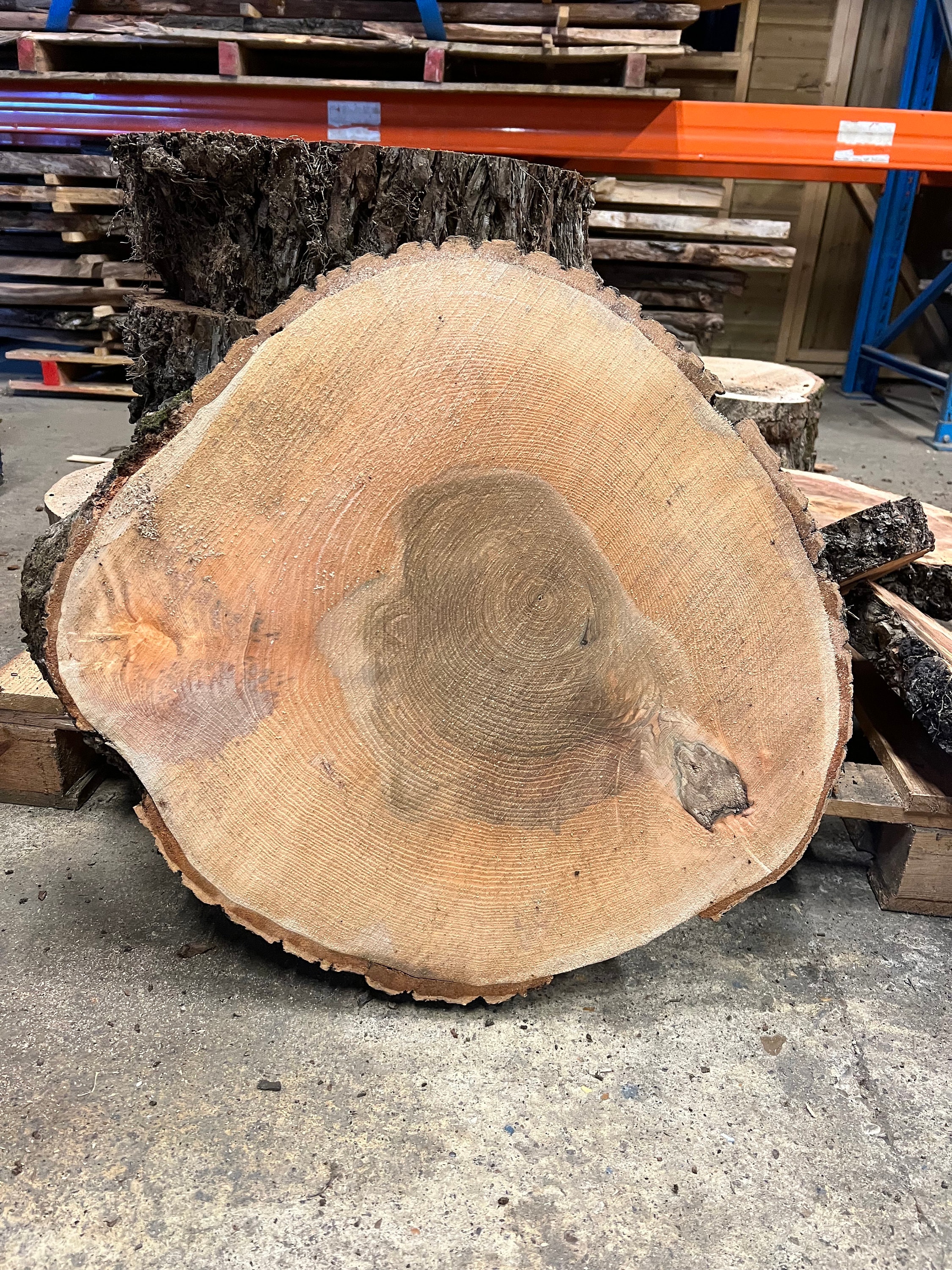 Stump Rounds Live Edge Real Wood Wooden Rounds Stumps Disks Rustic Log Slices ...