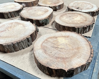 Real English Wood Elm - Log Slices - Wooden - Rounds - Disks - Handmade- Rustic - Natural - Wedding - Table Centrepieces 25-27cm