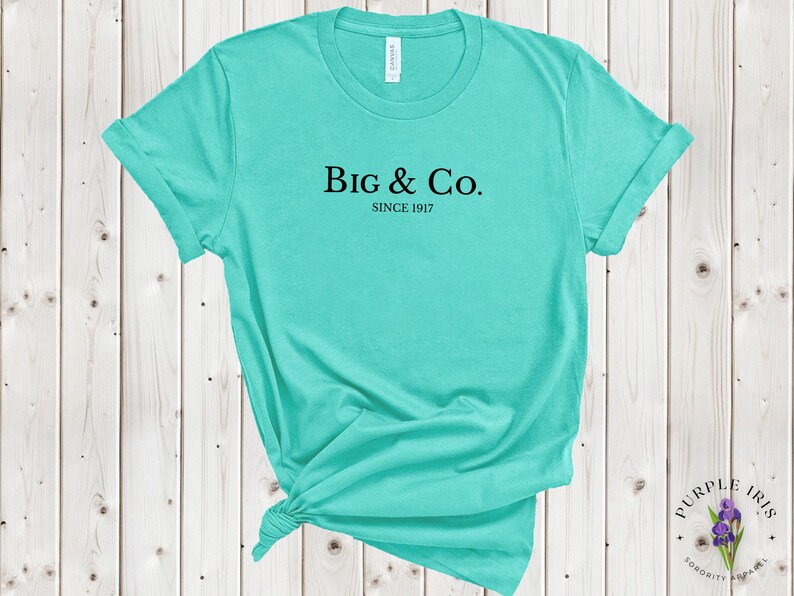 Little & Co. Sorority Big/Lil Reveal Shirts image 6