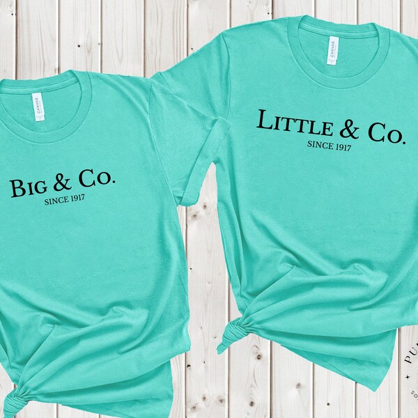 Little & Co. | Sorority Big/Lil Reveal Shirts