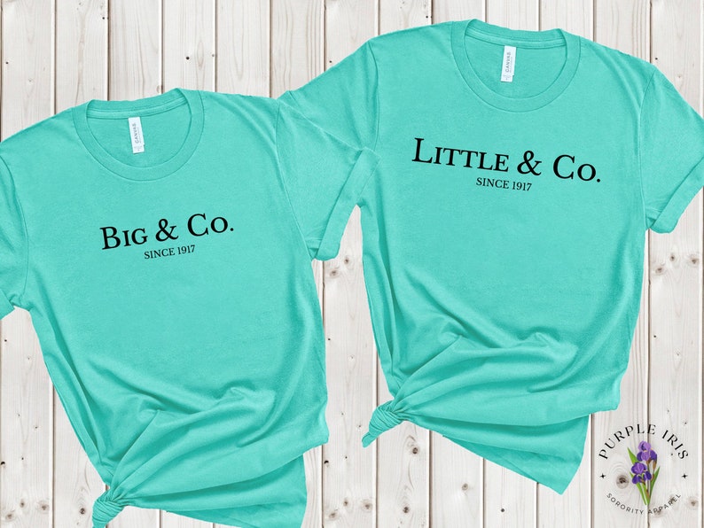Little & Co. Sorority Big/Lil Reveal Shirts image 1