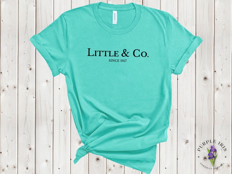 Little & Co. Sorority Big/Lil Reveal Shirts image 5