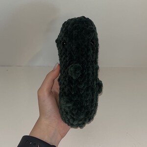 Crochet Pickle Plushie
