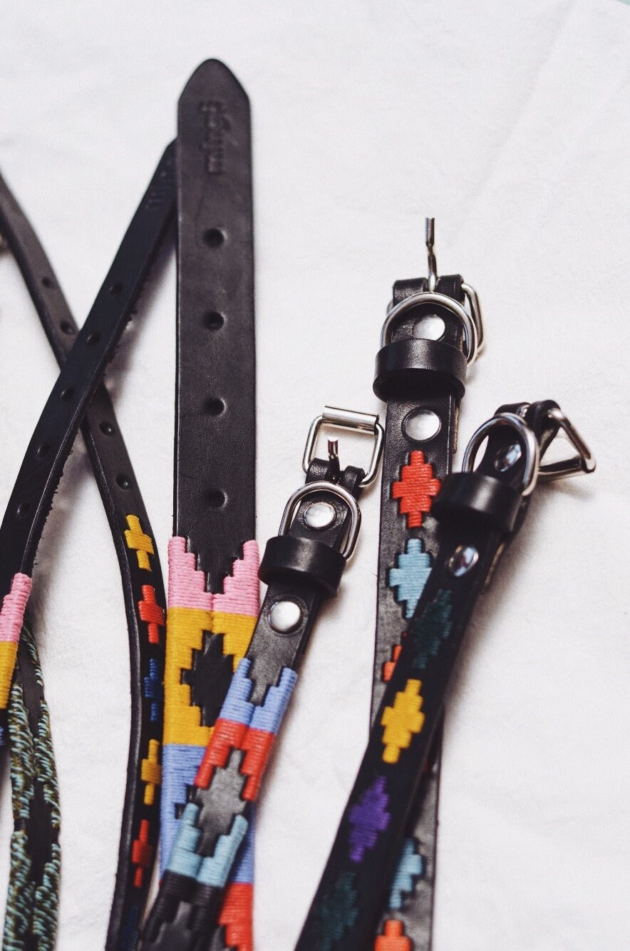 Dog Collar Argentinian Leather
