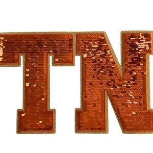 May include: A sequined patch in the shape of the letters "TN". The letters are filled with orange sequins and outlined with gold trim. The patch is likely for decorative purposes, such as on clothing or accessories.