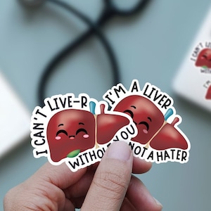 Liver anatomy sticker, funny anatomical liver sticker set for nurse, gasteroenterology funny gift, hepatology cute anatomy sticker, gastro