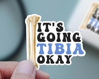 Its going tibia okay, Funny Physical therapy sticker, Gait belt sticker, Fall risk, DPT sticker, PTA sticker, PT student gift, tibia sticker
