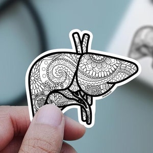 Mandala Liver Sticker: Anatomical Art for Nurse, Doctor - Handmade