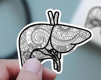 Mandala Liver Sticker: Anatomical Art for Nurse, Doctor - Handmade