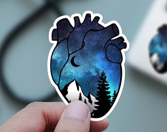 Anatomical heart sticker gift, cute cardiology sticker for nurse, cardiac sticker nurse gift, heart medical sticker, heart sticker anatomy