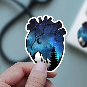 Anatomical heart sticker gift, cute cardiology sticker for nurse, cardiac sticker nurse gift, heart medical sticker, heart sticker anatomy
