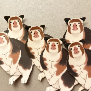 May include: Six brown, white, and orange animal stickers with cartoon-like faces. The stickers are arranged in a pile, with the top sticker facing the viewer.