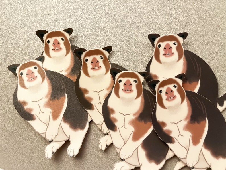 May include: Six brown, white, and orange animal stickers with cartoon-like faces. The stickers are arranged in a pile, with the top sticker facing the viewer.