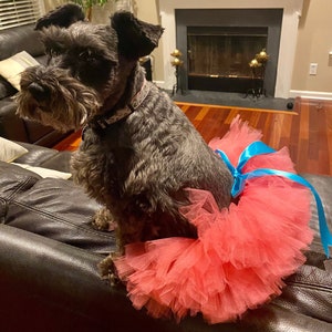 Tutu for for Pet, Peach Tutu for Dog, Tutu for Dog, Dog Tutu, Cat Tutu, Pig Tutu, Rabbit Tutu, Dog Costume, Fur Baby