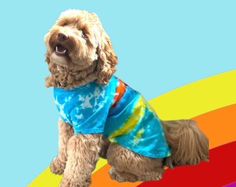 May include: A brown and white dog wearing a blue and yellow tie-dye shirt, sitting on a rainbow background.