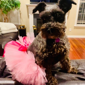 Tutu for for Pet, Pink Tutu for Dog, Tutu for Dog, Dog Tutu, Cat Tutu, Pig Tutu, Rabbit Tutu, Dog Costume, Fur Baby