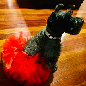Tutu for for Pet, Red Tutu for Dog, Christmas Tutu for Dog, Dog Tutu, Cat Tutu, Pig Tutu, Rabbit Tutu, Dog Costume, Fur Baby Skirt