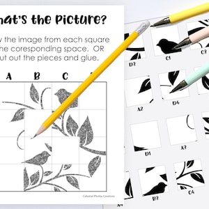 May include: A black and white printable puzzle with the words "What's the Picture?" at the top. The puzzle is a grid with nine squares. Each square contains a portion of a picture of a bird sitting on a branch with leaves. The puzzle includes instructions to draw the image from each square in the corresponding space or cut out the pieces and glue them together.