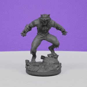 May include: A gray werewolf figurine in a dynamic pose, standing on a rocky base. The figure has a detailed wolf head, tattered clothing, and outstretched arms, with a fierce expression. The base is round with a decorative edge.