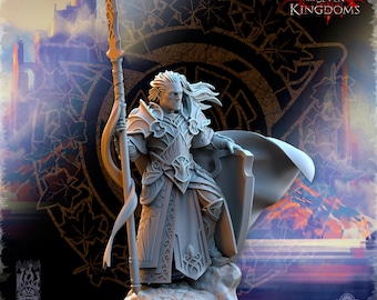 SilverMoor Elf Commander Polomhir | The Beholder Miniatures | RPG Boardgames | Fantasy | Tabletop RPG