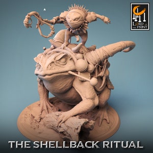 Befestigte Kampfkröte | Reskal Miniaturen | Kompatibel mit D&D/AoS | Fantasie | Tabletop-Rollenspiel