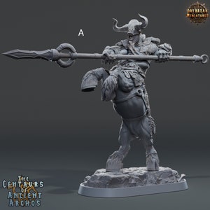 May include: A gray, detailed miniature of a centaur warrior holding a spear. The centaur is wearing armor and a helmet with horns. The miniature is standing on a rocky base.