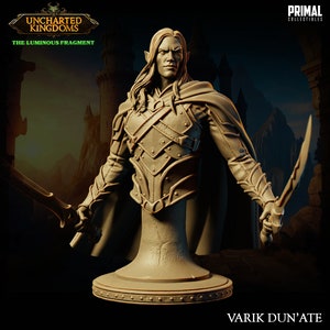 May include: A detailed bust of a fantasy character, a high elf warrior with long, flowing hair, wearing armor and holding a sword and dagger. The bust is painted in a muted brown color and is set on a circular base. The character's name, "VARIK DUN'ATE", is printed on the base.