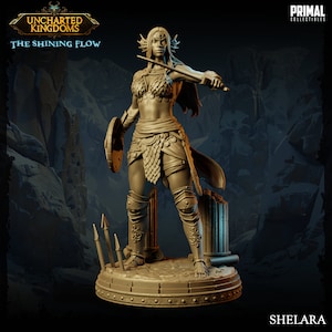 May include: A detailed, unpainted miniature figurine of a female warrior with a sword and shield. She is wearing a chainmail bikini and a skirt. The figurine is standing on a circular base with a sculpted stone pillar behind her. The text "Uncharted Kingdoms: The Shining Flow" and "Shelara" are visible on the base.