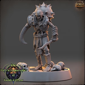 May include: A grey, skeletal figure with a spiked helmet and a dagger. The figure is wearing tattered clothing and has a skull on its back. The figure is standing on a base with skulls around it. The text "The Fallen Camaradas of Fainted Moor" is visible in the image.