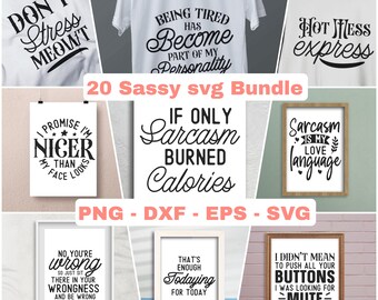 20 Sarcastic SVG Bundle, Sarcasm SVG bundle, Funny SVG bundle, Sassy Svg quotes shirts, Funny mom gift, Funny mom Png, Silhouette, Cricut