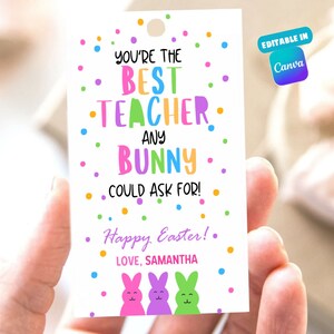 Editable Easter Teacher Appreciation Gift Tags Best Teacher Bunny Easter Basket Tag School Printable Label easter Instant Digital Download