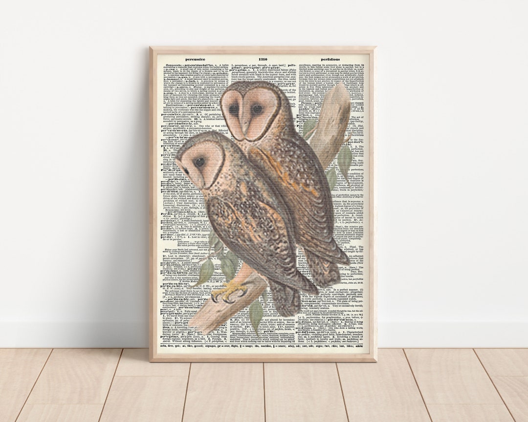 Owls Dictionary Print Etsy