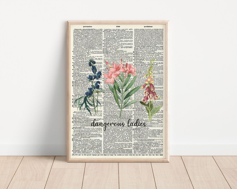 Dangerous Ladies Dictionary Print Etsy