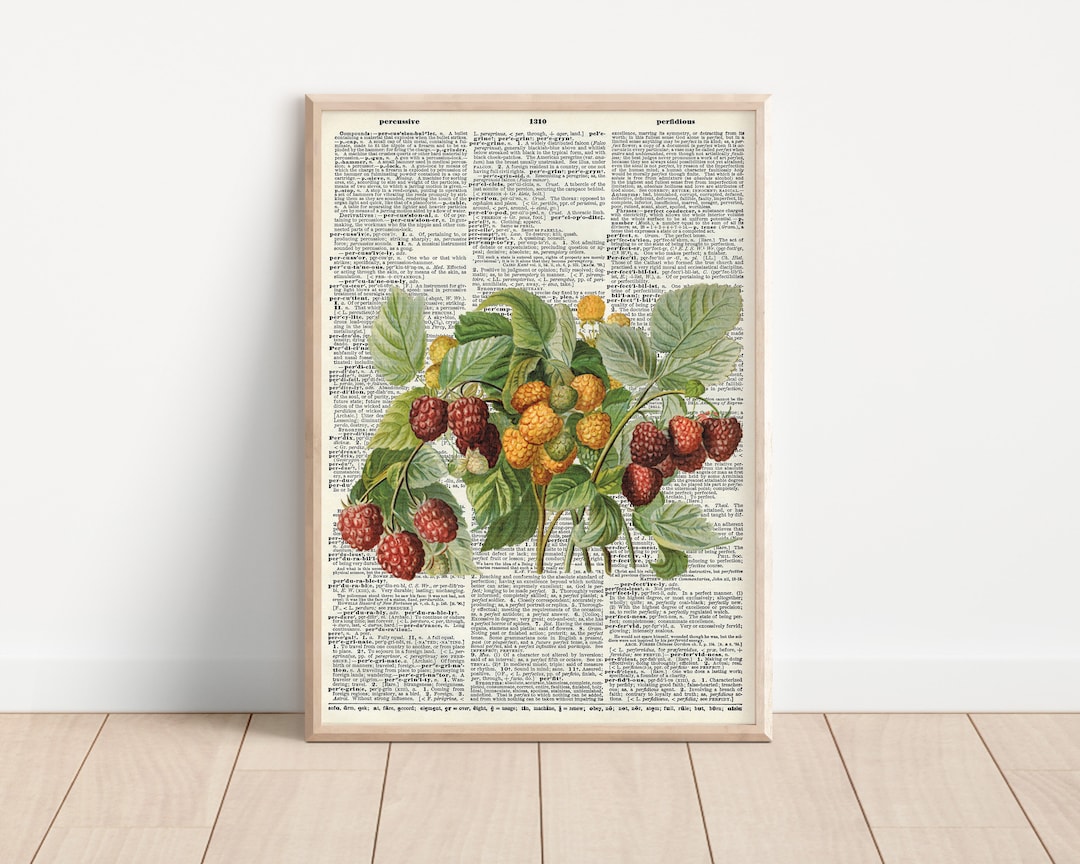 Raspberries Dictionary Print Etsy