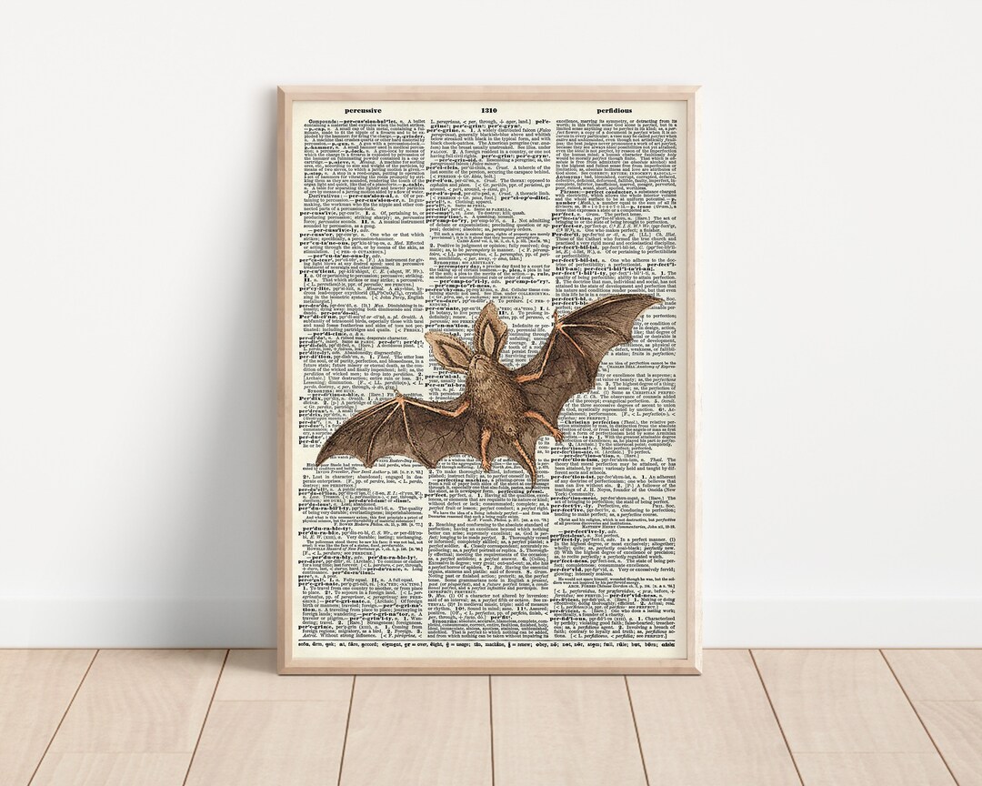 Bat Dictionary Print Etsy