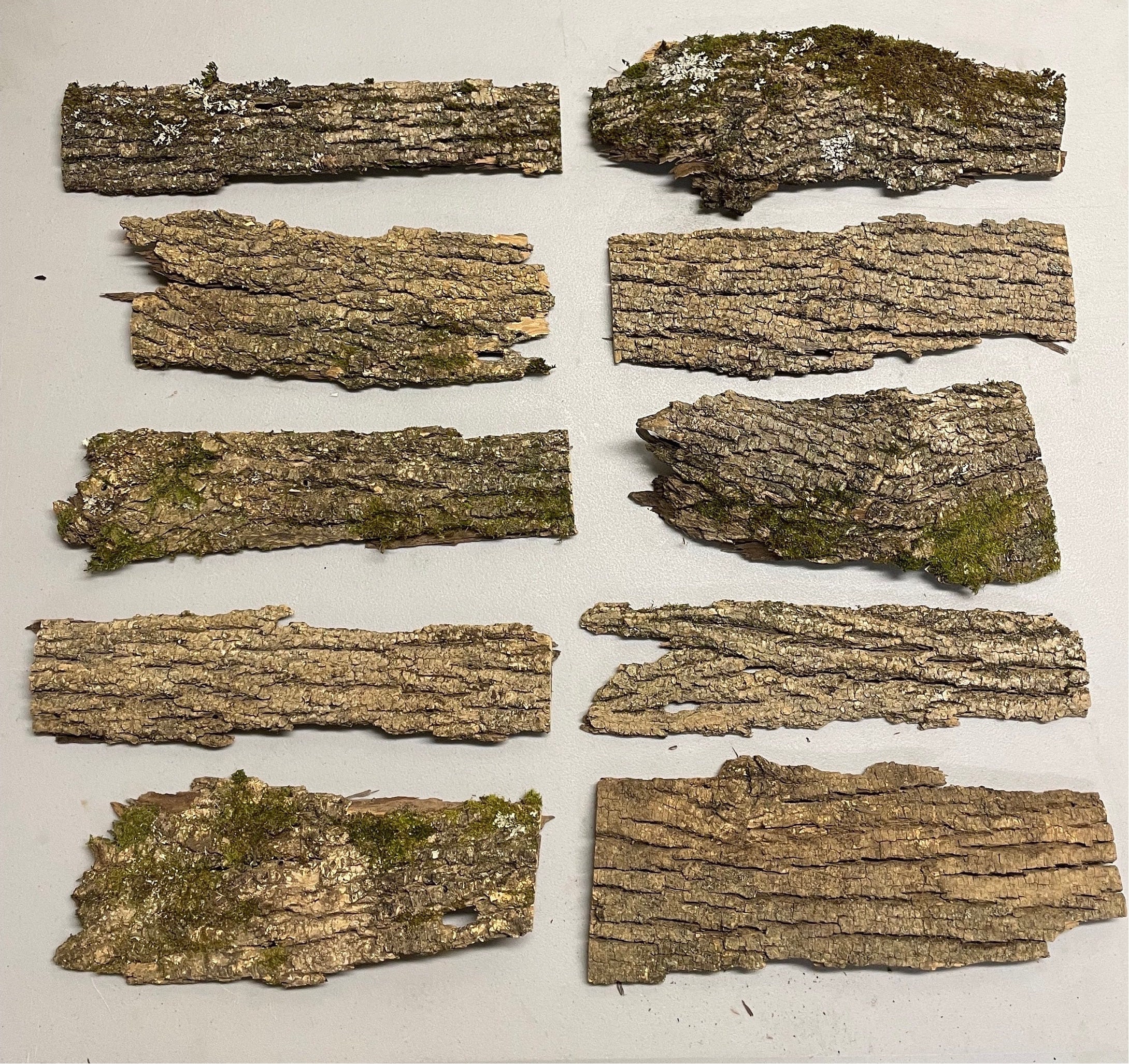 Tree Bark Real Real Tree Bark Pieces: Rustic Home Decor, Art Projects - Etsy