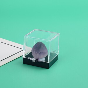 Crystal Perky Box Case - Clear & Black Plastic