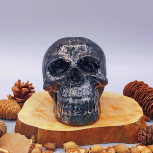 OBSIDIAN SKULL, Natural Gemstone Resin Skull with Healing Crystals and Stones, Witchcraft Supplies Set for Halloween Decor Spiritual Gift