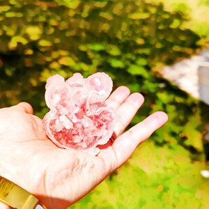 Hand Making Rose quartz Resin Poolde dog Figure