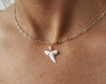 Collar de diente de tiburón / Perla de agua dulce, cadena chapada en oro de 14k