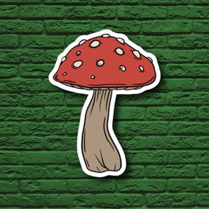 Pegatinas de hongos, calcomanías de hongos rojos y blancos, diseños inspirados en la naturaleza, set de pegatinas botánicas, lindos regalos artísticos de hongos, pegatinas caprichosas