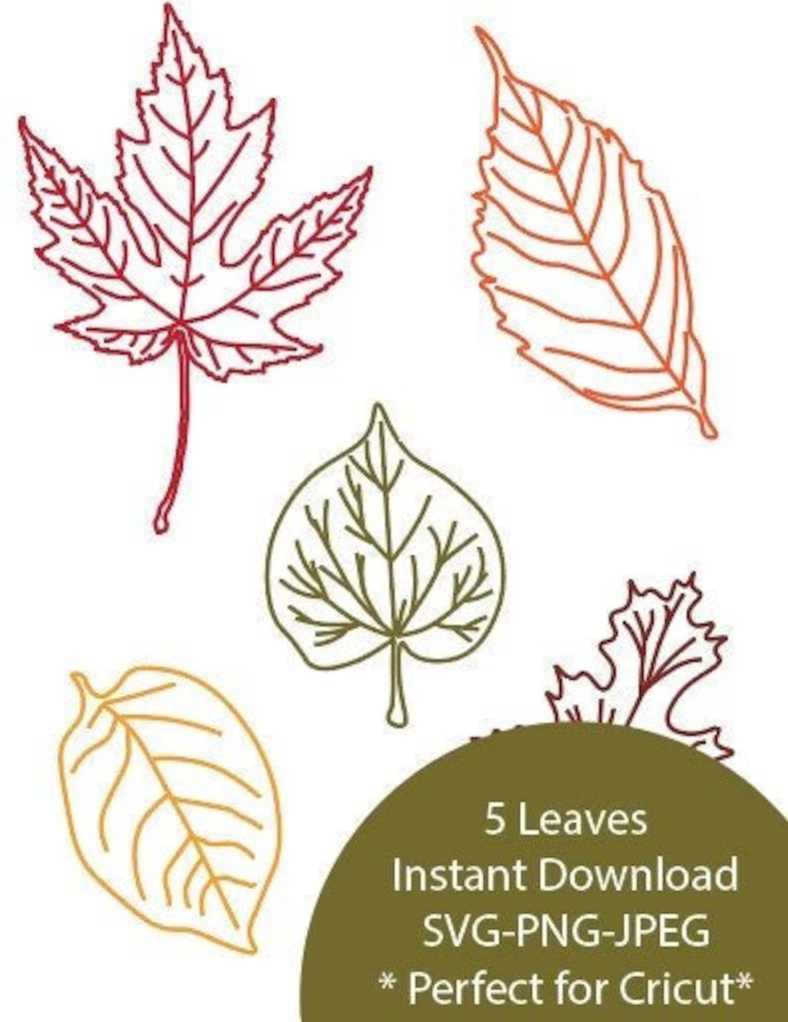 Leaf SVG, Leaf PNG, Leaf Vector, Leaf JPEG, Leaf Shirt, Leaves Svg